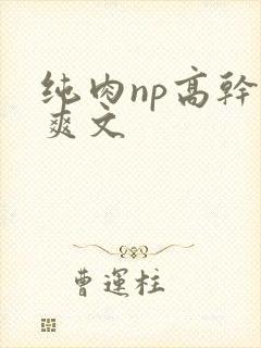 纯肉np高干h爽文