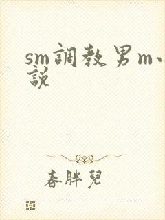 sm调教男m小说