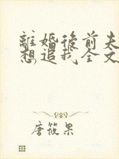 离婚后前夫总是想追我全文免费阅读