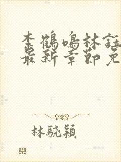 李鹤鸣林钰小说最新章节免费阅读封面