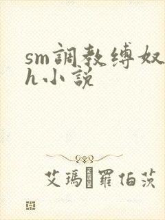 sm调教缚奴高h小说