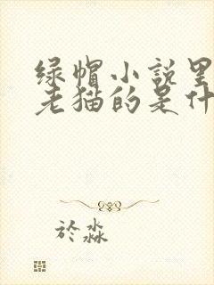 绿帽小说里边有老猫的是什么小说