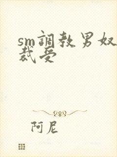 sm调教男奴总裁受