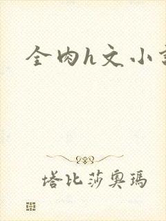 全肉h文小说封面