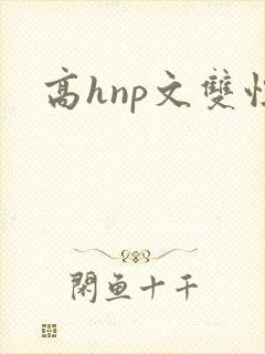 高hnp文双性