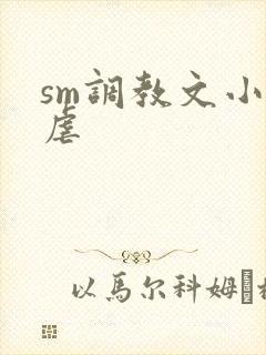 sm调教文小说虐封面