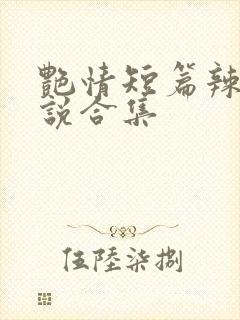 艳情短篇辣文小说合集