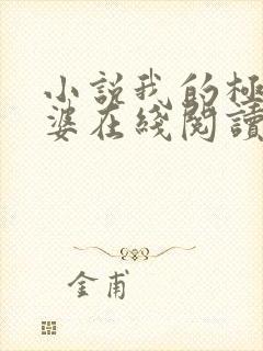 小说我的极品老婆在线阅读全文