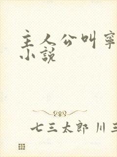 主人公叫宁宸的小说