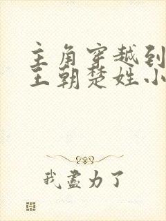 主角穿越到大楚王朝楚姓小说封面