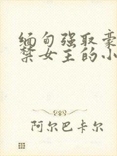 缅甸强取豪夺囚禁女主的小说