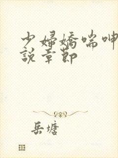 少妇娇喘呻吟小说章节