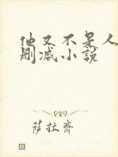 他又不是人了无删减小说