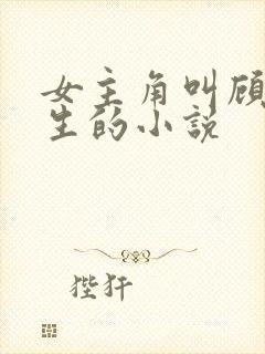 女主角叫顾晚重生的小说封面