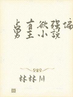 占有欲强偏执双男主小说封面