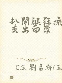 扒开腿狂操女人爽出白浆