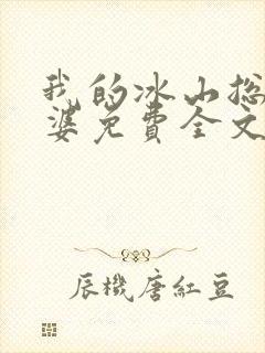 我的冰山总裁老婆免费全文阅读