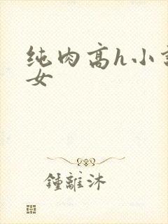 纯肉高h小说男女