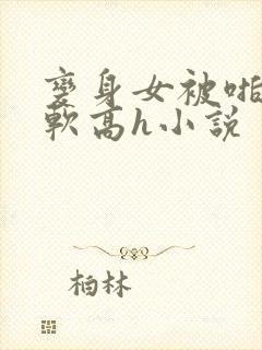 变身女被啪到腿软高h小说