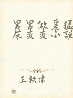 男男做爰猛烈叫床爽爽小说