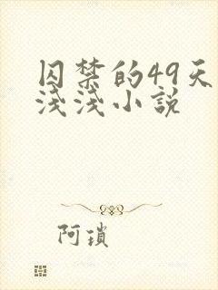 囚禁的49天顾浅浅小说