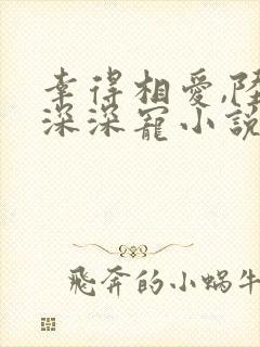 幸得相爱,陆少深深宠小说全文免费阅读