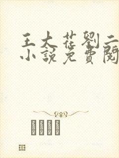 王大花刘二毛的小说免费阅读