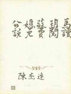 公媳苏玥马强小说免费阅读