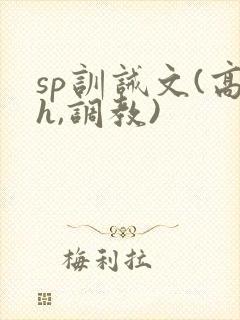 sp训诫文(高h,调教)