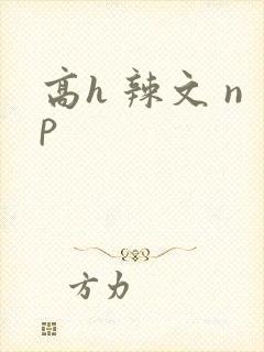 高h 辣文 np