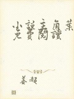 小说主角叶无仙免费阅读