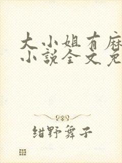 大小姐有麻烦了小说全文免费阅读边澈封面