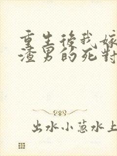 重生后我嫁给了渣男的死对头连载封面