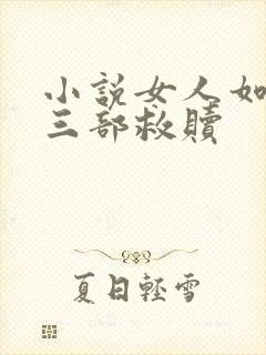 小说女人如雾第三部救赎