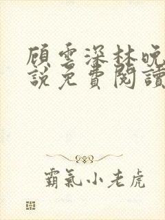 顾云深林晚晴小说免费阅读最新章节