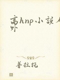高hnp小说人外