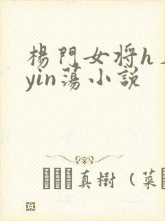 杨门女将h名器yin荡小说封面