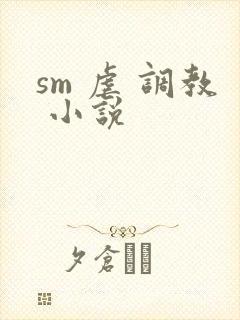 sm 虐 调教 小说