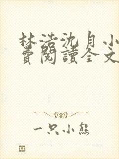 林浩沈月小说免费阅读全文