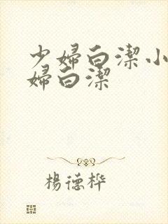 少妇白洁小说少妇白洁