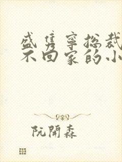 盛隽宁总裁婚后不回家的小说