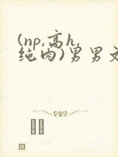 (np,高h,纯肉)男男文