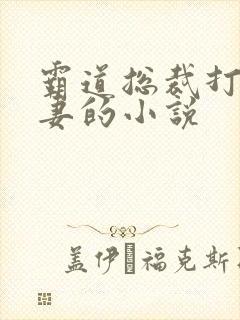 霸道总裁打小娇妻的小说