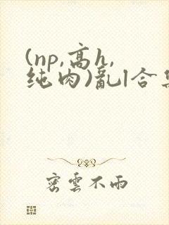 (np,高h,纯肉)乱l合集