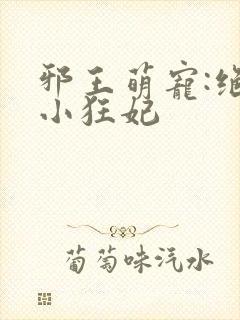 邪王萌宠:绝色小狂妃