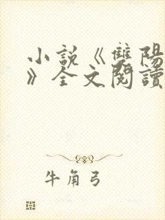 小说《双阳男人》全文阅读