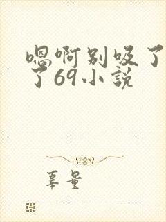 嗯啊别吸了高潮了69小说