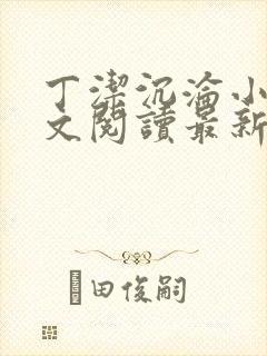 丁洁沉沦小说全文阅读最新章节更新