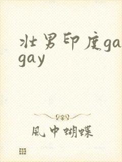 壮男印度gaygay