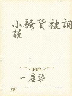 小骚货被调教小说封面